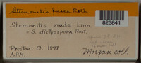 Image Associated With the Occurence